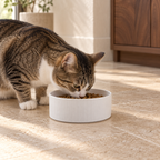 Milo Ribbed Ceramic Pet Bowl